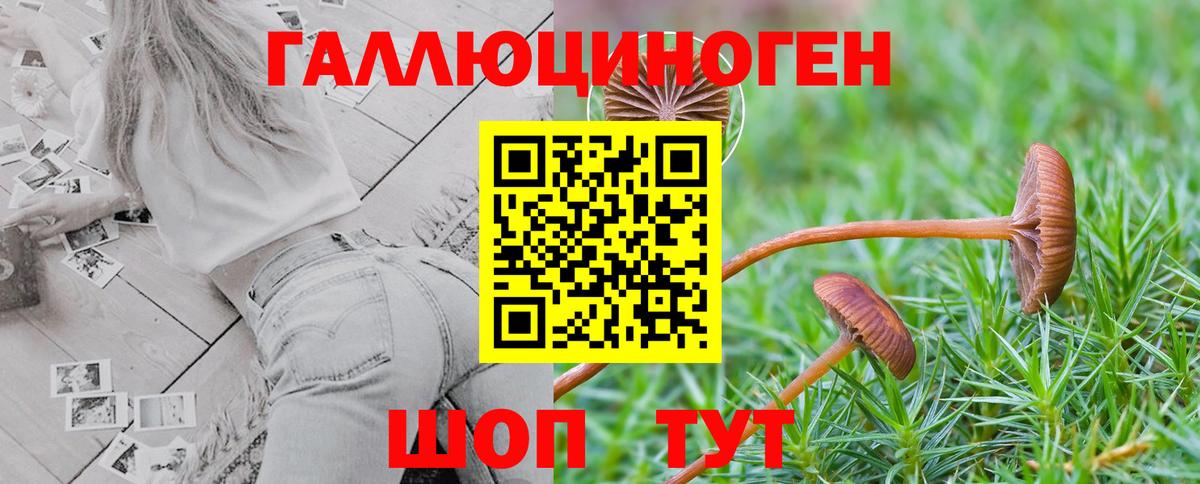 Кунгур  Галлюциногенные грибы Psilocybe  хочу   Вход с VPN 