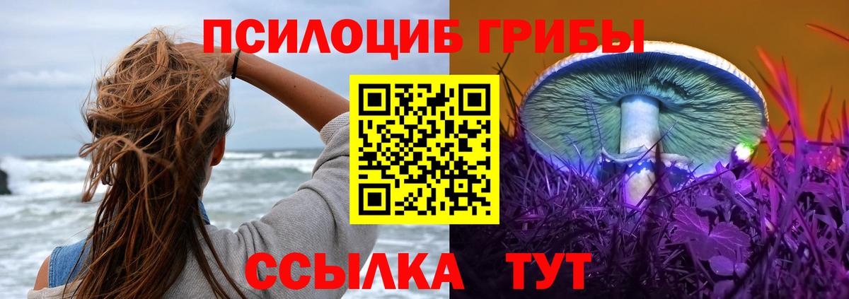 Галлюциногенные грибы Magic Shrooms Кунгур